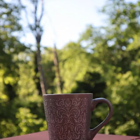 Holiday home Madarles Vendeghaz *