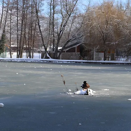 Madarles Vendeghaz * Abaliget