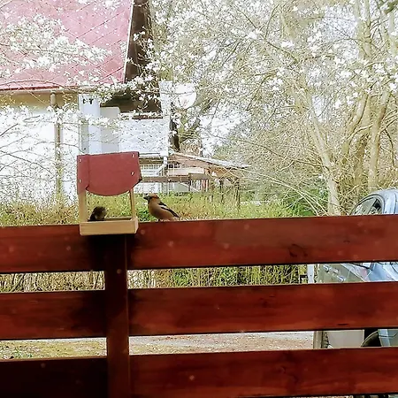 Madarles Vendeghaz *